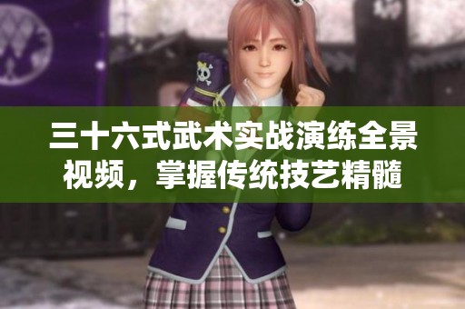 三十六式武术实战演练全景视频，掌握传统技艺精髓