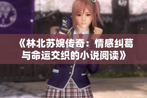 《林北苏婉传奇：情感纠葛与命运交织的小说阅读》