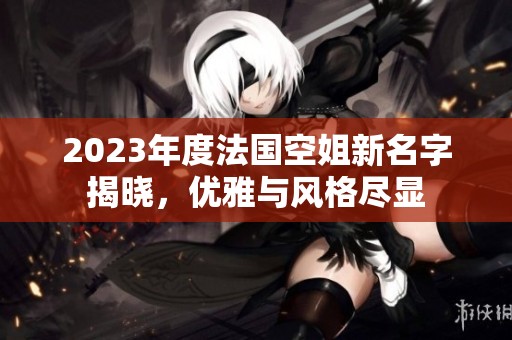 2023年度法国空姐新名字揭晓，优雅与风格尽显