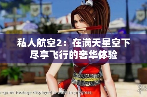 私人航空2：在满天星空下尽享飞行的奢华体验
