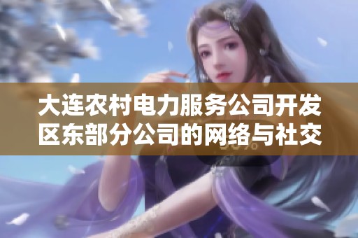 大连农村电力服务公司开发区东部分公司的网络与社交资源分析