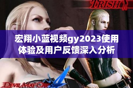 宏翔小蓝视频gy2023使用体验及用户反馈深入分析