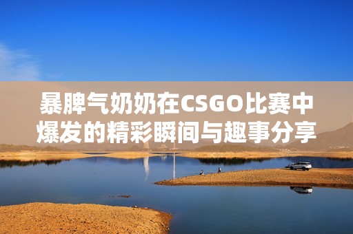 暴脾气奶奶在CSGO比赛中爆发的精彩瞬间与趣事分享