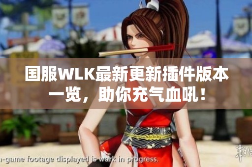 国服WLK最新更新插件版本一览，助你充气血吼！