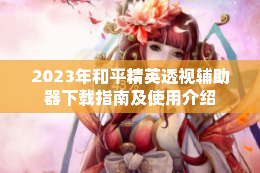 2023年和平精英透视辅助器下载指南及使用介绍