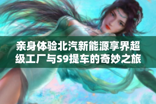 亲身体验北汽新能源享界超级工厂与S9提车的奇妙之旅