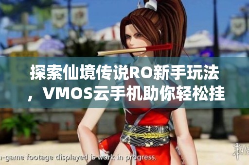 探索仙境传说RO新手玩法，VMOS云手机助你轻松挂机体验
