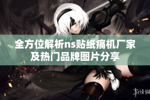 全方位解析ns贴纸痛机厂家及热门品牌图片分享
