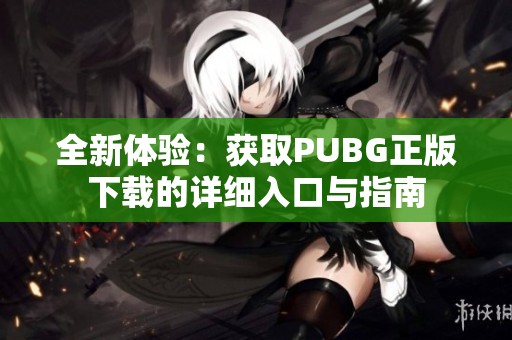 全新体验：获取PUBG正版下载的详细入口与指南