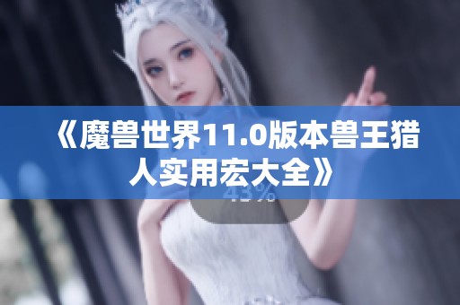 《魔兽世界11.0版本兽王猎人实用宏大全》