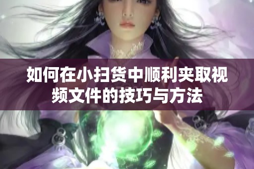 如何在小扫货中顺利夹取视频文件的技巧与方法