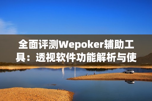 全面评测Wepoker辅助工具：透视软件功能解析与使用体验