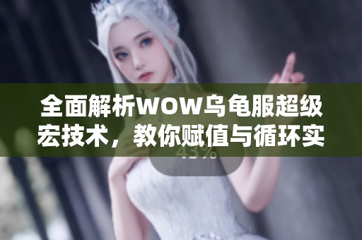 全面解析WOW乌龟服超级宏技术，教你赋值与循环实现BUFF层数管理