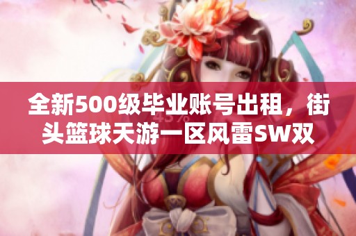 全新500级毕业账号出租，街头篮球天游一区风雷SW双加盛放！