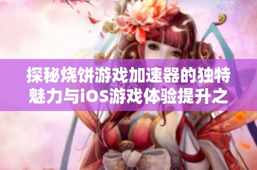 探秘烧饼游戏加速器的独特魅力与iOS游戏体验提升之道