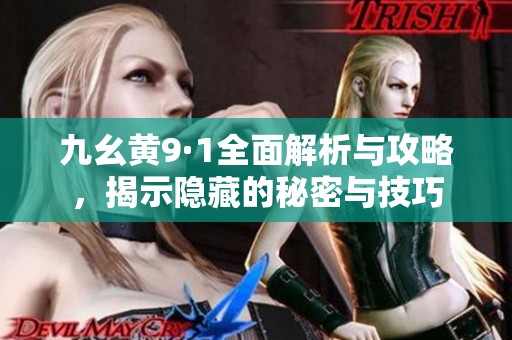 九幺黄9·1全面解析与攻略，揭示隐藏的秘密与技巧