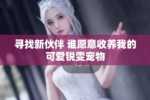寻找新伙伴 谁愿意收养我的可爱锐雯宠物