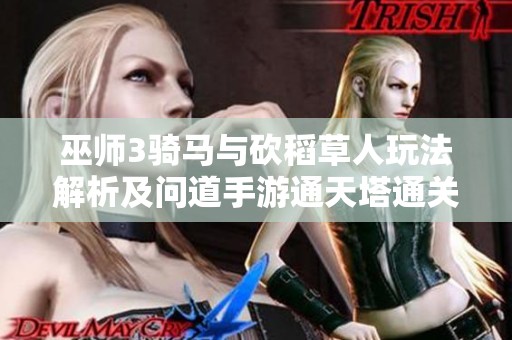 巫师3骑马与砍稻草人玩法解析及问道手游通天塔通关技巧分享