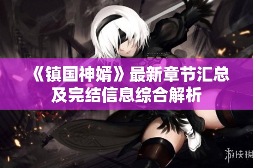 《镇国神婿》最新章节汇总及完结信息综合解析