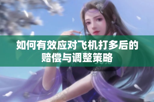 如何有效应对飞机打多后的赔偿与调整策略