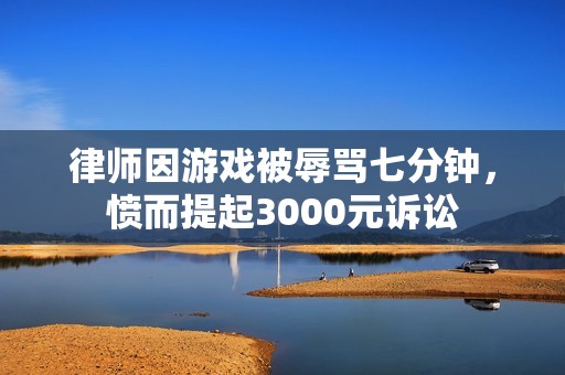 律师因游戏被辱骂七分钟，愤而提起3000元诉讼