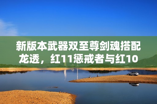 新版本武器双至尊剑魂搭配龙透，红11惩戒者与红10奶妈组合分析
