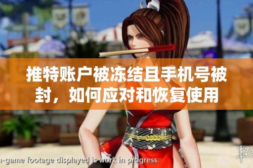 推特账户被冻结且手机号被封，如何应对和恢复使用