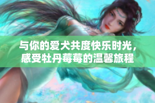 与你的爱犬共度快乐时光，感受牡丹莓莓的温馨旅程
