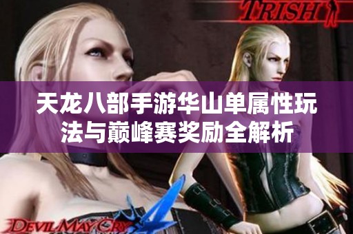 天龙八部手游华山单属性玩法与巅峰赛奖励全解析