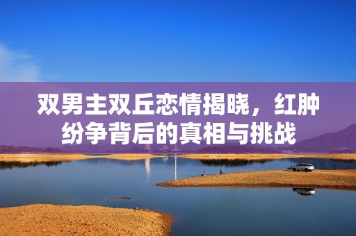 双男主双丘恋情揭晓，红肿纷争背后的真相与挑战