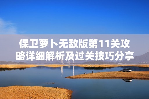 保卫萝卜无敌版第11关攻略详细解析及过关技巧分享