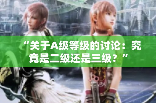 “关于A级等级的讨论：究竟是二级还是三级？”