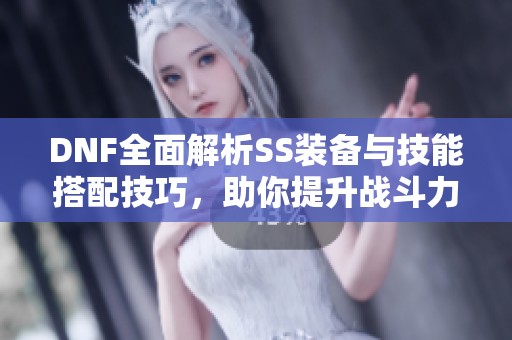 DNF全面解析SS装备与技能搭配技巧，助你提升战斗力！