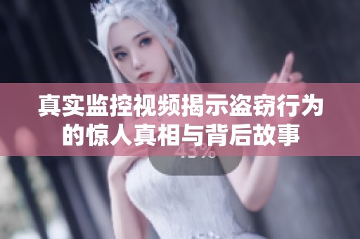 真实监控视频揭示盗窃行为的惊人真相与背后故事