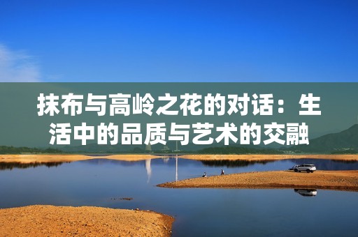 抹布与高岭之花的对话：生活中的品质与艺术的交融
