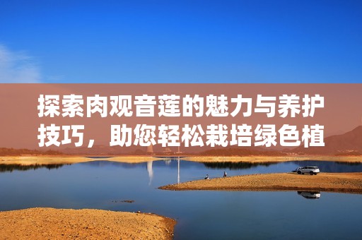 探索肉观音莲的魅力与养护技巧，助您轻松栽培绿色植物