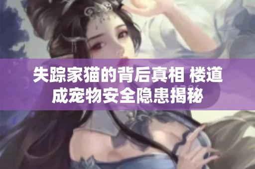 失踪家猫的背后真相 楼道成宠物安全隐患揭秘