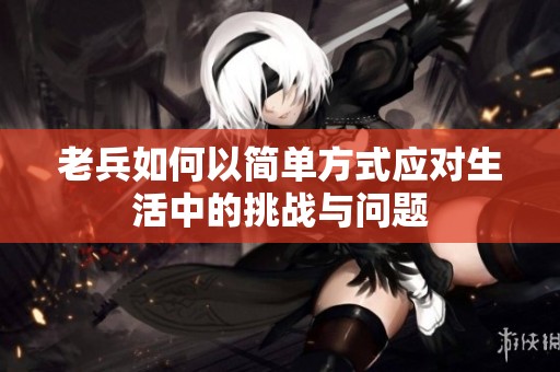 老兵如何以简单方式应对生活中的挑战与问题