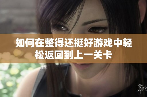 如何在整得还挺好游戏中轻松返回到上一关卡