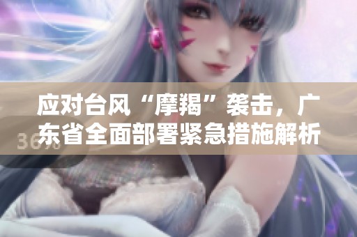 应对台风“摩羯”袭击，广东省全面部署紧急措施解析