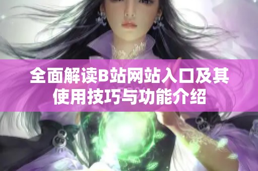 全面解读B站网站入口及其使用技巧与功能介绍
