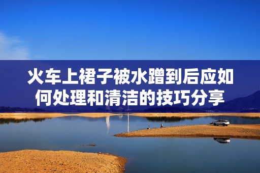 火车上裙子被水蹭到后应如何处理和清洁的技巧分享