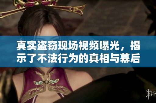 真实盗窃现场视频曝光，揭示了不法行为的真相与幕后故事