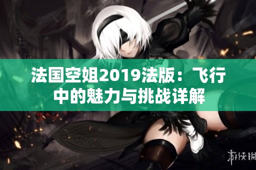 法国空姐2019法版：飞行中的魅力与挑战详解