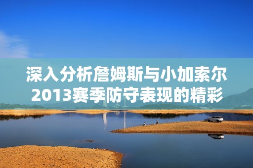 深入分析詹姆斯与小加索尔2013赛季防守表现的精彩对比