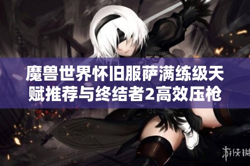魔兽世界怀旧服萨满练级天赋推荐与终结者2高效压枪设置解析