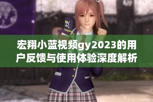 宏翔小蓝视频gy2023的用户反馈与使用体验深度解析