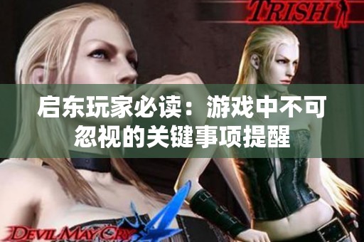 启东玩家必读：游戏中不可忽视的关键事项提醒