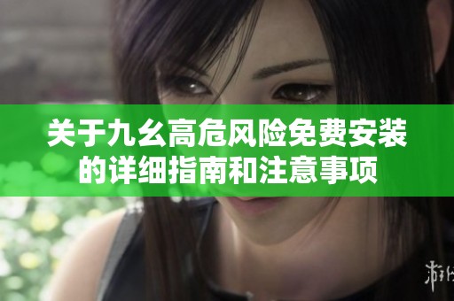 关于九幺高危风险免费安装的详细指南和注意事项