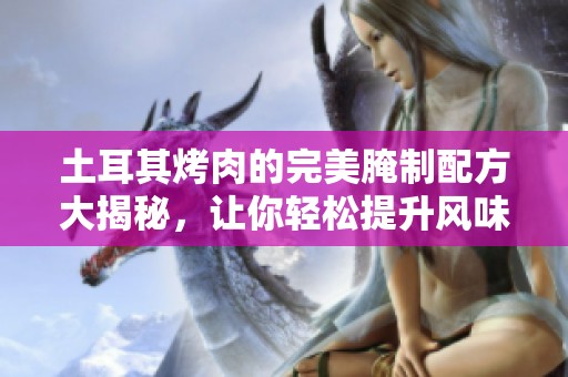 土耳其烤肉的完美腌制配方大揭秘，让你轻松提升风味